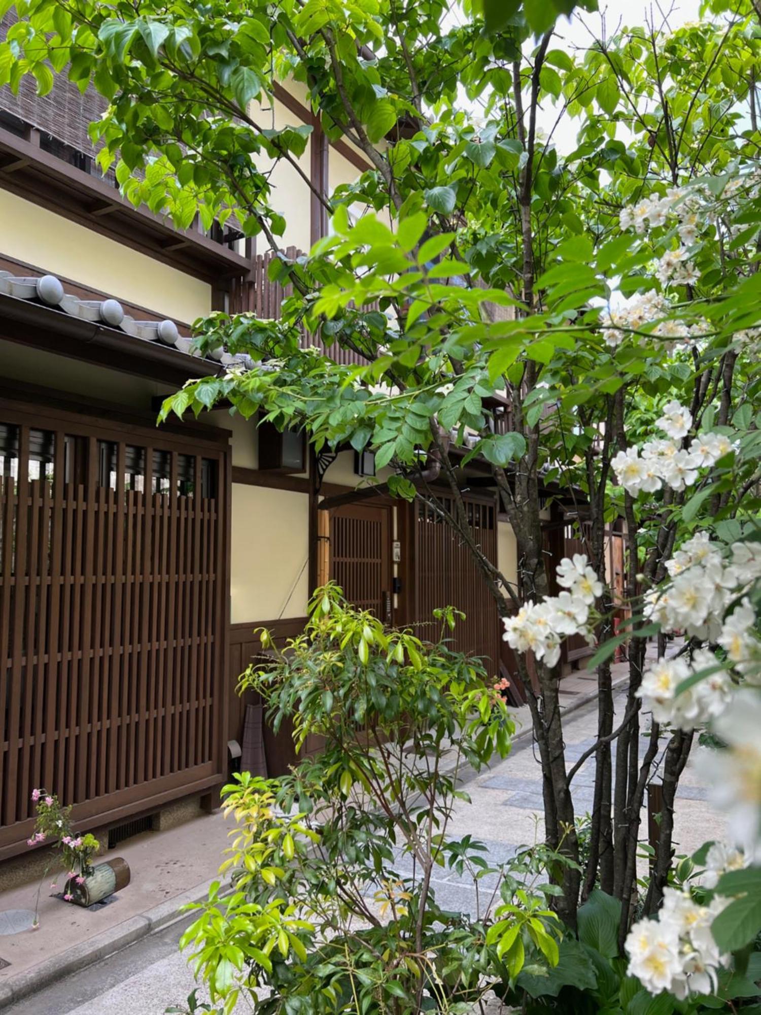 Imakumano Terrace - Dohachi An 道八庵 Villa Kyoto Eksteriør billede