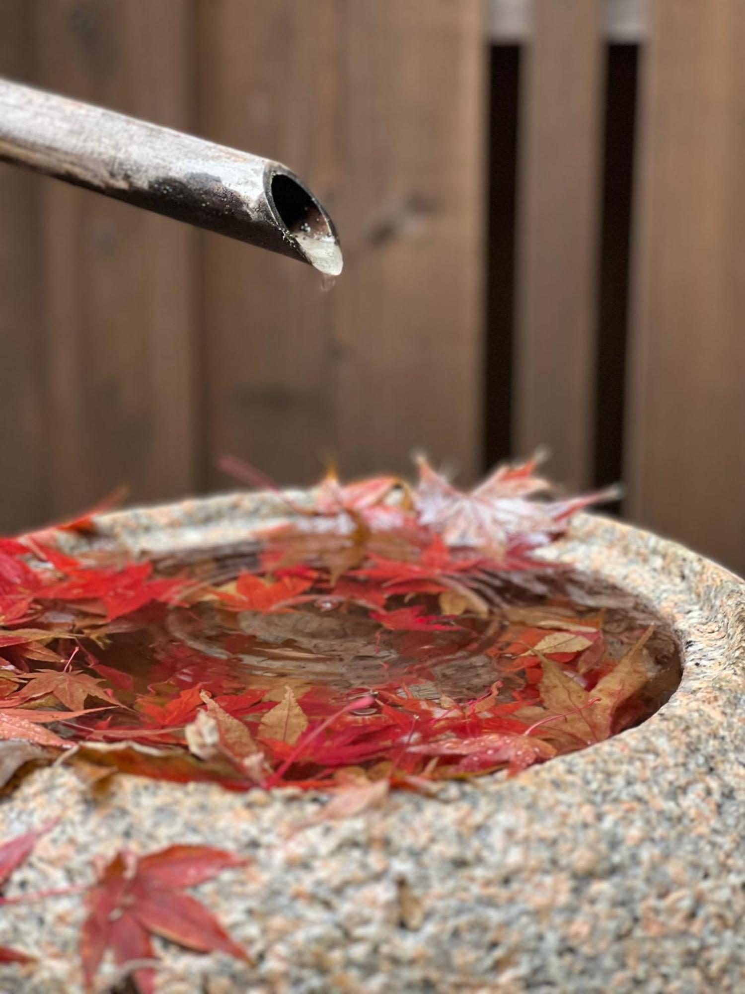 Imakumano Terrace - Dohachi An 道八庵 Villa Kyoto Eksteriør billede